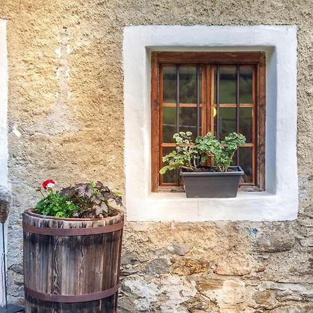 Schildhof Ebion Schildhofsuite San Leonardo in Passiria Kültér fotó