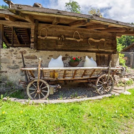 Schildhof Ebion Schildhofsuite San Leonardo in Passiria Kültér fotó